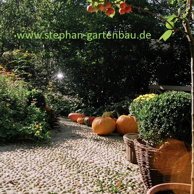 Winfried Stephan Garten- und Landschaftsbau GmbH