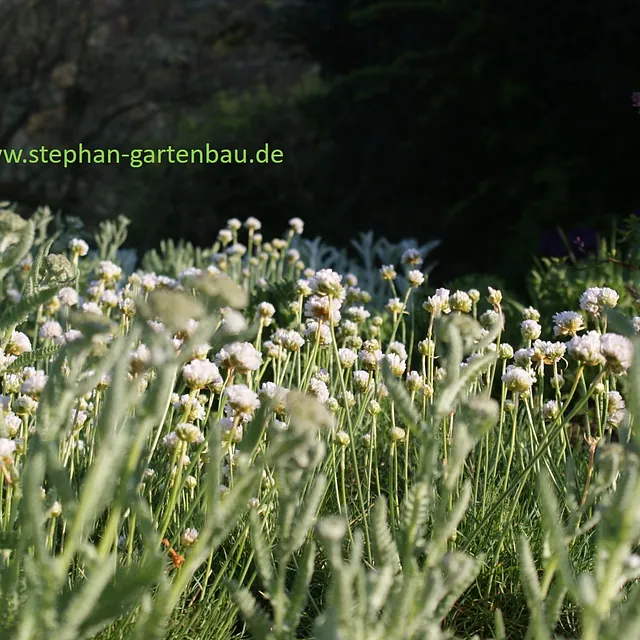 Winfried Stephan Garten- und Landschaftsbau GmbH