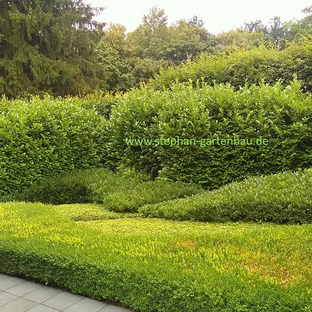 Winfried Stephan Garten- und Landschaftsbau GmbH