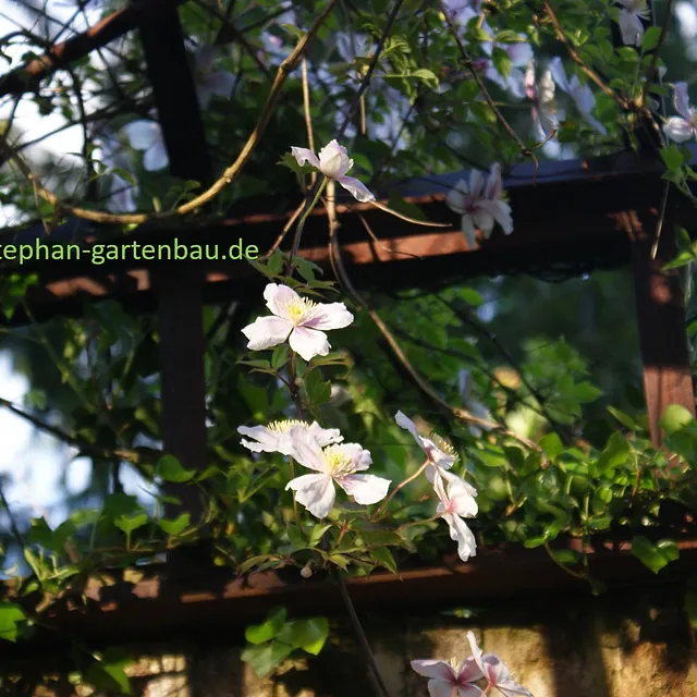 Winfried Stephan Garten- und Landschaftsbau GmbH