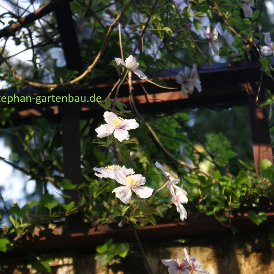 Winfried Stephan Garten- und Landschaftsbau GmbH